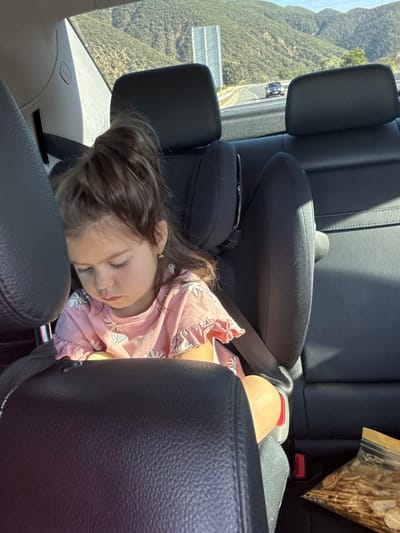 A young girl with dark hair pulled into a high ponytail is seated in the back of a car, looking down with her eyes closed. She is wearing a pink t-shirt with a floral pattern and appears to be in a car seat. The interior of the car is visible, including the black leather seats and a seatbelt. Outside the car, a scenic view of mountains and a road can be seen. A bag of snacks is on the seat next to the girl. The image is taken from inside the car, looking towards the back seat and the outside scenery. The location is not specified to be in the city of Δημοτική Ενότητα Προμαχώνος, Greece, as no such information is discernible from the image.