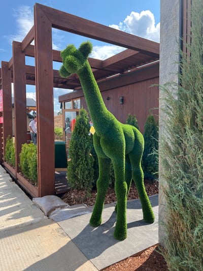 In Yakunino, Russia, an outdoor scene unfolds beneath a blue sky with scattered white clouds. A prominent feature is a life-sized topiary giraffe, meticulously crafted from bright green artificial grass, positioned on a grey paved surface. The giraffe stands in front of a wooden structure with a slatted roof, and adjacent to a textured concrete wall with vertical wooden panels. To the left of the giraffe, a planter box filled with small green bushes runs along the base of the wooden structure, which appears to be part of an outdoor seating or exhibition area. Several larger evergreen trees are visible behind the giraffe. In the background, a man in a white t-shirt and blue jeans is visible through a glass door of a wooden building. The ground area near the giraffe is covered with dark wood chips and some gravel. Two large, translucent bags filled with what appears to be soil or sand are placed on the concrete walkway in the foreground.