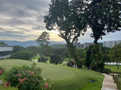 The image depicts a panoramic view of the Club Campestre de Bucaramanga golf course, located in Floridablanca, Santander, Colombia. The scene is observed from an elevated vantage point, under a partially cloudy sky characteristic of late afternoon or early evening, with diffused light.
In the immediate foreground, a meticulously maintained putting green occupies the left side, featuring multiple practice flags indicative of golf holes. To the lower left, a cluster of green bushes with prominent pink-red flowers is visible. On the lower right, a set of concrete steps with dark metal railings descends into the lower section of the golf course.
The midground showcases the expansive golf course with its green fairways and numerous mature trees. Two large, centrally located trees, heavily covered in vines, dominate the upper midground. On the far left, a modern, multi-story building with a light-colored facade and large windows is visible, suggesting a clubhouse or fitness facility. Within the course, a small pond or water hazard is situated to the right. Several small human figures are discernible on the distant fairways, some appearing near golf carts, indicating ongoing golf activity or maintenance. A small, dark-roofed structure is partially visible beneath the large trees in the mid-right.
The background consists of a distinct mountain range along the left horizon. To the right, an urban skyline is visible, characterized by multiple tall, light-colored residential apartment buildings rising above the tree line. The sky exhibits varying cloud formations, with a brighter, hazy area behind the large trees on the right, suggesting the position of the setting or rising sun obscured by foliage.