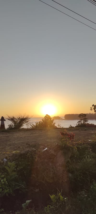 A vertical, low-angle, full shot captures a sunset scene over the ocean, possibly near Crakmong, Indonesia. The sun, a bright white orb with a yellow halo, is positioned just above the horizon, casting a warm glow over the water and sky. The sky transitions from a pale blue at the top to a soft orange near the horizon. The foreground is dominated by uneven, dry ground with patches of green foliage and some scattered debris, including a white plastic object. To the left, a person wearing a headscarf and a long skirt is standing, appearing to take a photograph with a phone. In the mid-ground, a body of water, likely the ocean, extends towards a distant island or landmass with a line of trees. Several trees and bushes are scattered throughout the scene, some silhouetted against the bright sky. In the lower right corner of the image, a few plants with dark red flowers are visible, adding a touch of color to the otherwise muted foreground. Electrical wires are visible against the sky in the upper portion of the image.