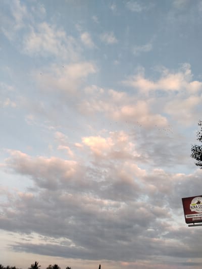 This image captures a sky filled with clouds, tinged with pink and orange hues, suggesting either sunrise or sunset. In the distance, a flock of birds is visible, seemingly migrating across the sky. To the right of the frame, a billboard for "AZKA COFFEE" is partially visible, indicating a commercial presence in the vicinity. The lower portion of the image shows a silhouette of trees and palm trees, common in tropical landscapes. The overall scene appears to be an outdoor setting, possibly on the outskirts of Glokaron, Indonesia, given the mention of the city. No people are clearly identifiable in the image.