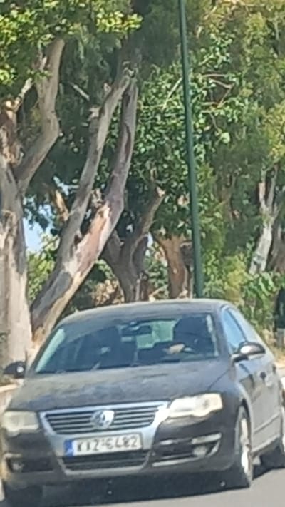 The image shows a dark-colored Volkswagen Passat parked on a street in Heraklion, Greece. The car is facing forward, and its license plate is visible, reading "KX2 6482". The car appears to be in good condition. The background consists of trees and foliage, suggesting an outdoor setting, possibly a residential area or a park. The lighting indicates it is daytime, with sunlight filtering through the leaves. There are no people visible in the image. The road surface is asphalt.