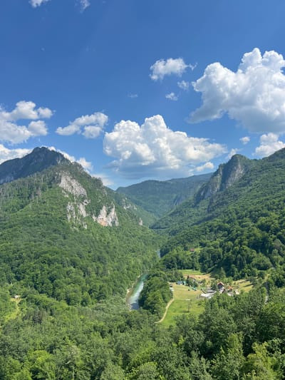 The image is a landscape view of the Tara River Canyon in Đurđevića Tara, Montenegro. It features a winding, turquoise river flowing through a deep canyon flanked by steep, tree-covered mountains. The vegetation is lush and green, indicative of a temperate climate during daytime. The sky is a vibrant blue with scattered, fluffy white clouds. In the mid-ground, nestled in a clearing on the valley floor, is a small settlement with several buildings, including houses with red roofs and what appears to be a tourist facility or campground with tents and manicured lawns. The rugged terrain and natural beauty of the canyon are the dominant elements of the scene, with the human settlement appearing as a small intrusion into the wilderness. No people are visible in the image.
