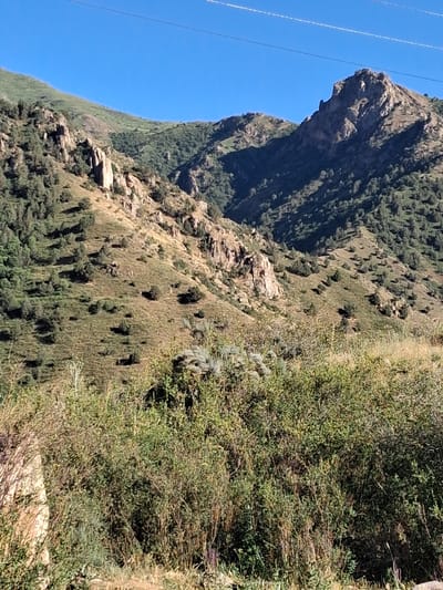 The image depicts a steep, rocky mountainside covered in sparse vegetation and trees. The terrain is rugged, with large rock formations and patches of dry grass and shrubs. In the distance, the mountain slopes are densely forested with green trees. The sky is a clear, bright blue, suggesting a sunny day. The lighting indicates it is daytime.
The image has a vertical orientation, with a power line visible in the upper left corner, stretching diagonally across the blue sky. The texture of the mountainside is rough and uneven, with shadows cast by the uneven terrain and vegetation. There are no people or animals visible in the image. The overall impression is of a natural, wild landscape.
The scene appears to be a remote, mountainous area. The clear blue sky and bright sunlight suggest fair weather. The rocky, vegetated slope and the presence of power lines might indicate proximity to a rural area or a hiking trail. The lack of any specific structures or landmarks makes it difficult to pinpoint the exact location beyond the general mountainous setting. No text is visible in the image.
