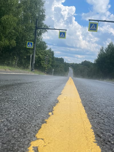 This is a low-angle, eye-level photograph of a wet asphalt road in Serkovskaya, Russia. The road has a bright yellow line painted down the center. In the distance, the road curves uphill and disappears into a treeline. Pedestrian crossing signs, featuring a blue square with a white pedestrian symbol, are visible hanging from poles on either side of the road. The sky is partly cloudy with a bright blue background and white, puffy clouds. Trees line both sides of the road, forming a dense forest. The road appears to be a rural or semi-rural highway.