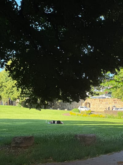 In Esslingen am Neckar, Germany, a person is lying on their stomach on a lush green lawn, facing away from the viewer. They are wearing a black and white patterned garment and appear to be relaxing or sunbathing. To the right of the person, a bottle is placed on the grass. The lawn is bathed in dappled sunlight filtering through the leaves of a large tree that dominates the foreground, casting a dark shadow over the left side of the image. In the background, a weathered stone wall with an arched entryway runs horizontally across the scene. Beyond the wall, a few vehicles are visible, including a white car. The overall environment suggests a park or recreational area on a sunny day.