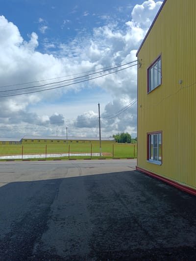 The image depicts the exterior of a yellow building with corrugated siding and a red trim, located in Novoye Rakhino, Russia. The building has two visible windows with white frames and red trim. A paved area, likely a road or parking lot, is in the foreground, casting a shadow from the building. In the background, a long, low yellow building with a red roof is visible, partially obscured by a red and yellow striped fence and a green field. Overhead, a network of power lines stretches across a partly cloudy blue sky. A utility pole stands to the right of the frame. The scene appears to be part of an industrial or commercial area.