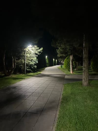 The image depicts a nighttime scene in a park located in Vyshen'ky, Ukraine. A paved walkway, composed of rectangular grey tiles, stretches into the distance, illuminated by overhead lampposts. The walkway is bordered by a neatly mown green lawn on the right and a line of trees on the left. Several trees, including conifer and deciduous varieties, are visible. Some are illuminated by the park's lighting, casting shadows on the walkway. The overall atmosphere is quiet and serene, suggesting a public park area after dark.
