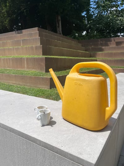 The image shows a bright yellow watering can with a capacity of 12 liters positioned on a concrete surface. Next to the watering can are two white mugs, one slightly in front of the other, casting distinct shadows on the concrete. The scene is set outdoors, with a background of tiered structures covered in grass and concrete. Trees and foliage are visible on the left side, with a blue sky peeking through. The lighting suggests it is daytime, likely sunny, as indicated by the strong shadows. The overall impression is one of a tranquil outdoor setting, possibly a garden or park area. There is no visible text on the mugs, but the watering can has "12L" embossed on its side. The image is oriented vertically.