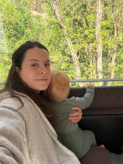 A woman with long brown hair is holding a baby with blond hair. The woman is wearing a gray hoodie. The baby is wearing green clothing. They are next to a window and a brown seat. Outside the window are trees. The location may be Odernheim am Glan, Germany but there is nothing in the image to confirm this.