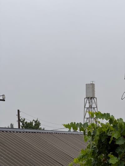 The image depicts an outdoor scene with a predominantly overcast sky. In the foreground, a portion of a corrugated gray roof is visible, angled from the lower left to the lower right of the frame. Behind the roof, a wooden utility pole with insulators and wires can be seen. Further in the background, a metal water tower stands tall, supported by a lattice structure. To the right of the water tower, lush green grapevines with large leaves are in bloom, some leaves appearing wet. In the far distance, on the left side of the image, a cluster of green trees can be seen. The scene appears to be located in the city of Beshtal, Uzbekistan.