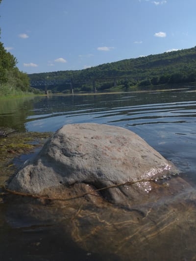 A low-angle, close-up shot features a large, weathered, light-colored rock partially submerged in a body of calm, clear water. The rock occupies the foreground, with its textured surface visible above and below the waterline. The water is slightly rippled, reflecting the bright, blue sky with scattered white clouds.
In the midground, the water extends towards a distant, tree-covered hilly landscape. A long, narrow bridge with visible supports spans the water in the distance, crossing a wide river. The riverbanks are lined with dense green trees and foliage. The overall environment appears natural and serene, with the bridge being the only man-made structure visible in the landscape.
The image does not contain any people or animals. The lighting suggests a sunny day. The setting is consistent with the Dnister River in or near Zalishchyky, Ukraine, given the characteristic landscape and presence of a prominent bridge.