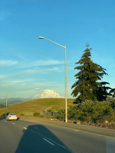 The image depicts a sunny day scene with a clear blue sky, featuring Mount Rainier in the background, partially obscured by a lenticular cloud. In the foreground, a white car drives on a paved road, casting a shadow. A tall, conical evergreen tree stands to the right of the road, with lush green bushes and smaller trees surrounding its base. A lamppost is positioned between the road and the tree. The landscape appears to be rural or semi-rural, with rolling green hills and a fence visible behind the car. The overall atmosphere is one of serene natural beauty. It is unclear if this scene is in Puyallup, Washington.