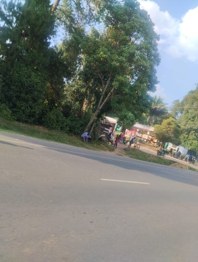 The image displays a roadside scene in Isukha North ward, Kenya, characterized by a paved two-lane road in the foreground and mid-ground. A continuous white dashed line runs along the road's surface. To the immediate left of the road is a verdant, sloping embankment densely covered with green bushes and tall trees.
On the right side of the road, a dirt shoulder transitions into an area of human activity and commercial structures, situated beneath a partially cloudy blue sky. Approximately 10-15 individuals are present. One person, wearing a light blue shirt, is crouched near the base of a large tree trunk, appearing engaged with an object or task at ground level. Several other people are standing or moving among a cluster of small commercial structures, characterized by corrugated iron roofs and various wall colors, suggestive of market stalls or shops. A white plastic chair is visible near these structures.
At least five motorcycles are parked or positioned along the dirt shoulder near these businesses, indicating a transportation or commerce hub. The area is heavily vegetated with numerous large trees and dense foliage, which form a natural backdrop behind the structures and extend into the distance.