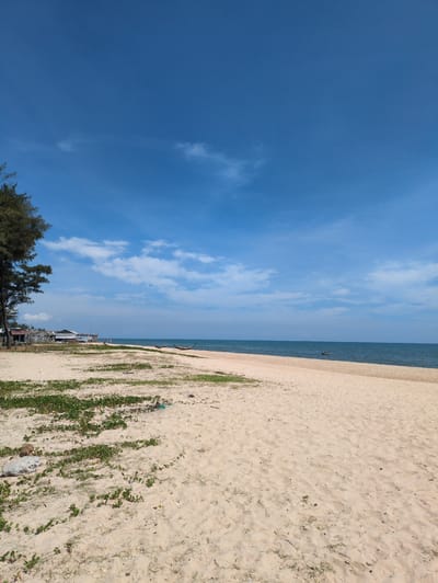 The image depicts a wide, sandy beach in Thuận An Ward, Vietnam, under a clear blue sky with scattered white clouds. The foreground is dominated by light-colored sand with patches of low-lying green vegetation growing sparsely. Some debris, including a grey rock and a piece of blue netting, are visible on the sand.

In the mid-ground, a calm, blue ocean stretches to the horizon. Two small, dark fishing boats are present on the water, one closer to the shore and the other further out. Along the left side of the mid-ground, there is a row of buildings and structures, some appearing to be simple dwellings or small shops, with a dense cluster of pine trees framing the left edge of the image.

The overall scene is one of a tranquil, coastal environment, likely in the morning or afternoon given the bright sunlight. There are no people clearly visible in the image. The focus is on the natural landscape of the beach and sea, with man-made elements present but not dominating the scene.