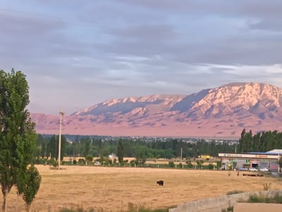 A wide shot captures a rural landscape with a dusty field in the foreground and a distant mountain range. In the mid-ground, trees and a small village are visible. A gas station with cars parked in front of it is situated to the right. A single black cow grazes in the field. The sky is partly cloudy. The location is the city of Langar, Uzbekistan.