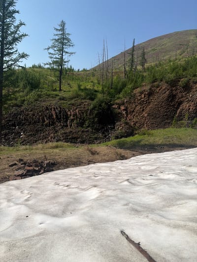The image captures a natural landscape in Talnakh, Russia, under a clear blue sky, suggesting fair weather during daylight hours. The scene is dominated by a steep, rocky mountainside on the left, covered with sparse greenery and scattered dead trees. The rocky terrain transitions into a lush green slope further up the mountain, indicative of vegetation struggling to thrive in a harsh environment.

On the right side of the frame, a large patch of snow is visible, its texture showing signs of melting with visible undulations and a few small indentations. The snow appears to be situated on a gentle incline. The juxtaposition of snow and greenery suggests a location where seasons change dramatically or where snow persists year-round in shaded areas.

In the foreground, several coniferous trees, likely larches given the subarctic location, are present. Some are fully green and vibrant, while others are stark and bare, their skeletal branches reaching towards the sky, hinting at past forest fires or harsh winters. The overall impression is one of rugged natural beauty, resilience, and the starkness of a subarctic climate. There is no visible text in the image.