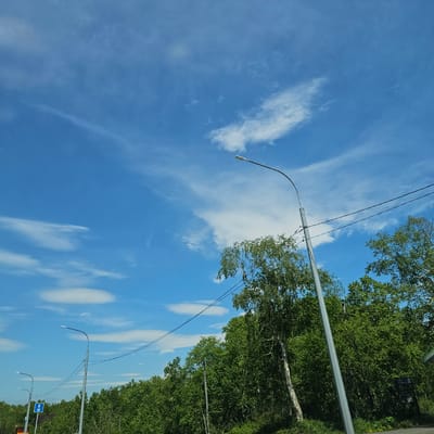 The image shows a clear blue sky with scattered white clouds. A line of trees with lush green foliage runs along the right side of the frame, with some birch trees visible. Several streetlights with curved metal poles are positioned along what appears to be a road. Power lines stretch across the sky, connected to the streetlight poles. In the background, more trees and some low-lying buildings can be seen.

One streetlight in the foreground has a distinctly curved arm, with a bright light at the end. Further down the road, another streetlight is visible, and behind it, a blue road sign with a white arrow pointing upwards and a symbol of a building is present. The time of day appears to be daytime, likely late morning or afternoon, given the brightness of the sky and the shadows. The weather is clear and sunny, indicated by the vibrant blue sky and the definition of the clouds. The setting suggests a suburban or rural area, possibly a road leading into or out of a town or village in Nikolayevka, Russia. There are no people visible in the image. The overall mood is serene and peaceful, highlighting the natural beauty of the sky and the greenery, contrasted with the functional elements of street lighting and signage. The visible text on the road sign is a directional indicator, commonly seen along transportation routes.