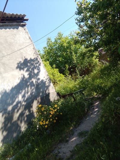 The image shows a dirt path winding through a grassy area with trees and vegetation. In the foreground, there is a wall with shadows cast on it by trees. A cluster of yellow flowers is visible near the base of the wall. The background consists of lush green trees and a clear blue sky. The scene appears to be a rural or semi-rural outdoor setting, possibly a backyard or a common area in a village like Nor Geghi, Armenia. There are no people or animals present in the image, and no specific actions or interactions are depicted. The overall impression is one of a sunny, tranquil day in a natural environment.