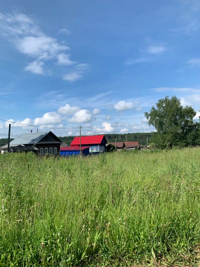 The image depicts a rural landscape in Barsai, Russia. In the foreground, a dense field of tall green grass stretches across the frame, with some scattered wildflowers visible. Behind the field, a cluster of traditional wooden houses with red and blue roofs stand in a row. A large, leafy green tree is situated to the right of the houses, and a line of trees forms a backdrop against the horizon. The sky above is a bright blue, dotted with white, fluffy clouds. Electrical poles and wires are also present, indicating the presence of infrastructure. The scene appears to be set on a sunny day.