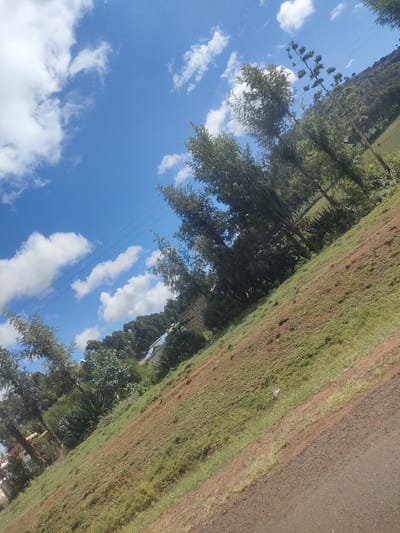 The image shows a rural scene in Kisima ward, Kenya. The sky is blue with scattered white clouds. Power lines stretch across the sky. A mix of trees and vegetation cover the landscape, with a densely wooded hillside visible in the background. The foreground features a dirt and grass embankment sloping downward towards a paved road. The angle of the photograph suggests it was taken from a moving vehicle. No people are visible.