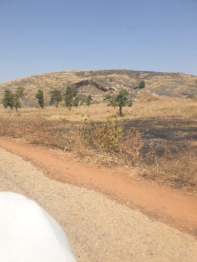 A landscape photograph depicts a rural scene in Kujama, Nigeria, under a clear, pale blue sky. In the immediate foreground, the curving white surface of what appears to be a vehicle's body occupies the lower left corner. Adjacent to this, a light brown, possibly gravel or packed earth, road surface extends towards the center-right. To the right of the road is a narrower strip of reddish-brown earth, followed by an area of dry, yellowish-brown vegetation interspersed with patches of darker, possibly burnt, ground.
The midground features a field dominated by dry, straw-colored grasses and sparse brush, with several dark, irregular patches suggestive of burnt areas. Scattered across this field are approximately eight small to medium-sized deciduous trees with green foliage, appearing healthy.
The background is dominated by a large, rocky hill or outcrop. Its surface is a mix of exposed grey rock and dry, yellowish-brown vegetation, similar to the midground. Distinct large, dark grey rock formations and boulders are visible on the hill's slopes. No individuals or active subjects are present.