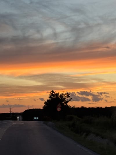 An asphalt road recedes into the distance under a dramatic sunset sky, with layers of orange, yellow, and grey clouds. On the right side of the road, a dark silhouette of trees and vegetation forms a treeline. A few small, dark clouds are visible in the lower portion of the sky. On the right side of the road, a traffic sign with a red circle and a diagonal line is partially obscured by a tree. Further down the road, in the distance, two sets of headlights illuminate the road, suggesting oncoming vehicles. Two tall electrical pylons are visible on the left side of the road, in the middle ground. A reflective blue road sign is visible on the right side of the road, just past the treeline. The image appears to be taken from a moving vehicle, looking forward. The location is identified as Zvegor, Bulgaria.