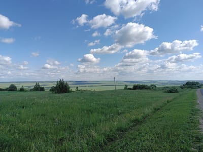This is a wide-angle, eye-level, outdoor photograph taken on a clear day in Бутурлино, Russia. The scene depicts a vast, green, grassy field with scattered wildflowers. In the distance, rolling hills and agricultural fields are visible, with a line of trees forming a horizon. A single utility pole stands in the middle ground. The sky is blue with scattered, fluffy white clouds. A dirt path is visible in the foreground, leading away from the viewer and towards the right side of the image. There are no people or animals present in the frame.