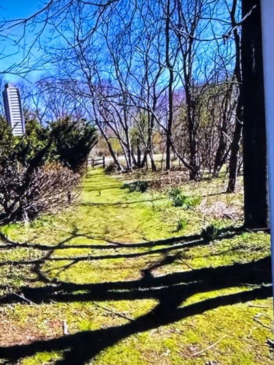 The image depicts a natural scene on a bright, sunny day, likely in a rural or suburban area. The foreground is dominated by a grassy path casting long, dark shadows from trees, indicating the sun is at a low angle, possibly morning or late afternoon. The path leads into a wooded area with bare-branched trees reaching towards a clear blue sky. To the left of the path, there are dense bushes and a portion of a light-colored building with vertical lines, possibly a structure or a tall fence. Further down the path, a simple wooden fence can be seen. The ground is covered in grass and scattered with dry leaves and twigs. No people or animals are visible. The scene appears to be in Springboro, United States of America, suggesting a location within the city's natural landscape or parks.