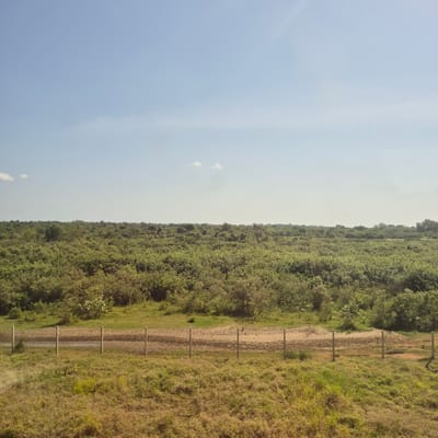 The image shows a vast, dense expanse of green vegetation under a clear blue sky with a few wispy clouds. In the foreground, a dry, dusty path or track runs horizontally, bordered by a simple fence made of wooden posts. The vegetation appears to be a mix of bushes and trees, with a slightly higher density in the background, creating a textured horizon. The overall impression is of a rural or undeveloped area. The provided location of Minazi Mikinda, Tanzania, suggests this scene is likely depicting a natural or semi-natural landscape within that region.