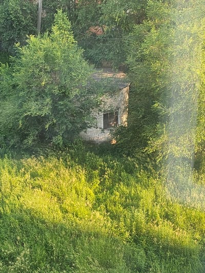 In the city of Tayozhnoye, Russia, a circular, abandoned brick structure is nestled amongst lush green trees and overgrown grass. The building, partially obscured by foliage, features a single window with darkened panes. The surrounding vegetation is dense and appears unmaintained, with tall grasses dominating the foreground and a canopy of leaves enveloping the structure. The sunlight casts a warm glow on the scene, highlighting the textures of the brickwork and the vibrant green of the plants. There are no visible people or animals in the image.
