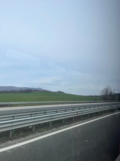 The image depicts a rural highway scene observed from a moving vehicle, located near Dzhurovo, Bulgaria, under an overcast sky. In the immediate foreground, a dark gray asphalt road surface is visible, delineated on the right by a solid white line. A multi-segment galvanized steel guardrail, approximately 1.5 meters in height, forms a median barrier parallel to the road, separating the current lane from a visible opposing traffic lane. Sparse dirt and withered vegetation are present on the ground between the road and the guardrail. Beyond the highway, an expansive, bright green cultivated field or pasture extends to the mid-ground. In the distance, a low-lying range of hills or mountains, partially obscured by bare deciduous trees, defines the horizon. A cluster of tall, bare trees stands on the right side of the frame, adjacent to the field. The sky is uniformly light gray and featureless, indicating overcast conditions. Multiple rectangular reflections are visible on the upper half of the image, consistent with light sources or structural elements viewed through a vehicle window. No people or active interactions are visible within the frame.