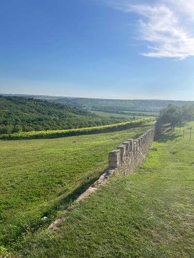 The media file captures a scenic landscape viewed from an elevated position, likely a hill or elevated ground, overlooking a valley. Dominating the foreground is a weathered stone wall, constructed from irregular blocks and stretching diagonally across the frame. The wall appears to be ancient, with its stones showing signs of age and erosion. To the right of the wall, a vibrant green meadow slopes downwards, its grass neatly trimmed, suggesting a maintained area. A narrow dirt path runs alongside the wall, partially visible.
Beyond the wall, the landscape opens up into a valley. A distinct strip of vineyard with young green vines runs parallel to the wall, creating a visual separation. Further into the valley, a dense, lush green forest covers the undulating terrain. In the distance, the landscape is softened by a hazy atmosphere, with hints of settlements or agricultural fields visible. The sky above is a clear, bright blue, with a few wispy white clouds drifting lazily. The lighting suggests a sunny day, likely late morning or early afternoon, given the intensity of the sunlight and the distinct shadows cast. There are no people or animals visible in the frame, focusing the attention on the natural and man-made landscape features. The overall mood is serene and peaceful, highlighting the beauty of the rural scenery. The location is identified as Stăuceni, Moldova, which provides geographical context to the observed landscape.