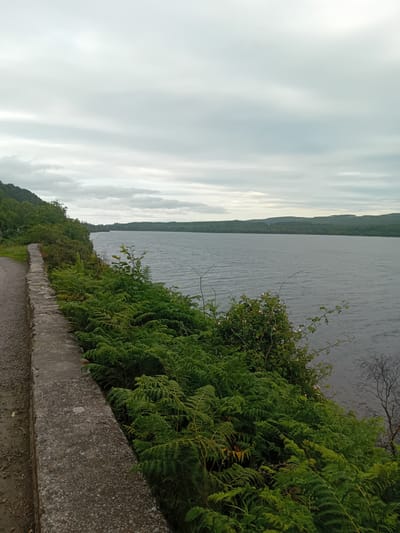 The image shows a scenic view of a large body of water, likely a lake, from a raised vantage point. A paved path runs along the left side of the image, bordered by a low stone wall. Abundant green ferns and other vegetation grow along the edge of the path and the wall, cascading down towards the water. The lake itself appears calm with a gentle ripple on its surface, and in the distance, rolling hills covered in trees form the horizon. The sky is overcast with a soft, diffused light. The overall impression is one of natural beauty and tranquility, suggesting a location in a rural or semi-rural setting, possibly near the village of Dores, United Kingdom, which is known for its scenic lochside views. There are no people or animals visible in the image.