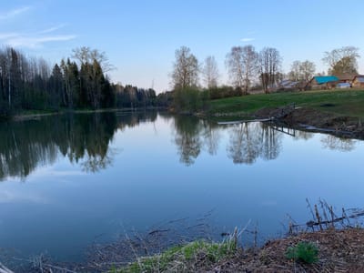 The image depicts a tranquil body of water, possibly a pond or lake, with reflections of trees on its surface. The body of water is surrounded by vegetation and trees. In the background, a small village or settlement is visible with houses featuring various roof colors. The scene appears to be located in a rural area, given the natural surroundings. The image does not provide enough information to confirm whether this image is from the city of Баклуши, Russia.