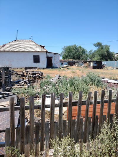 The image depicts an outdoor scene in a rural or dilapidated urban environment, possibly in the city of Torangylyk, Kazakhstan, under a clear blue sky. In the foreground, a weathered, wooden fence with vertical slats runs across the frame. Beyond the fence, a white building with a corrugated roof and dark-shuttered window stands prominently. A pile of wooden pallets and planks is stacked in front of the building. The ground is covered with dry, yellow grass and green shrubs. Further in the background, there are several other dilapidated structures, some appearing to be sheds or makeshift dwellings with rusted corrugated metal siding. A white car is visible behind some of these structures. Trees are scattered throughout the scene, with denser foliage towards the rear. The overall impression is one of disuse and decay.