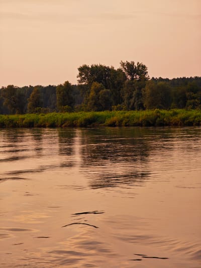 A wide river, reflecting a peach-colored sky at dusk, flows gently towards the viewer. Along the far bank, a dense line of green trees creates a dark, lush backdrop, interspersed with brighter patches of foliage. The water's surface is disturbed by subtle ripples and wakes, creating abstract patterns of light and shadow. The overall scene is serene and natural, devoid of human presence. The location is the city of Maloe Nakhval'skoe, Russia.