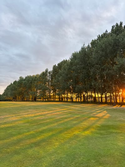 A row of trees stands tall, bathed in the warm light of the setting sun. Shadows stretch long across the manicured green lawn, creating a pattern of light and dark. The sky above is filled with soft, gray clouds, providing a tranquil backdrop to the vibrant scene.