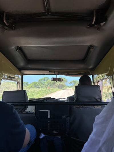 The image, correctly oriented, shows a view from inside a vehicle looking forward through the windshield. The interior features light beige/yellow walls and ceiling, with dark grey padded seats. A black metal roll bar is prominent on the right side of the cabin.

In the driver's seat, the back of a person's head, wearing a dark shirt, is visible. On the right side of the vehicle, the lower legs of another person, clad in blue jeans and a dark top, are seen, indicating a front passenger. A rearview mirror is positioned centrally, reflecting a segment of the road behind the vehicle. A black, perforated metal storage unit is attached to the dashboard area on the right, containing various unidentifiable items. White fabric is draped over the top right interior.

Beyond the windshield, a bright, sunny daytime scene is visible. A light-colored dirt or gravel road stretches ahead, winding through abundant green trees and bushes under a clear blue sky. The clear weather and type of vehicle suggest a journey through a natural, open landscape. The setting is consistent with a rural or wilderness environment, potentially a safari, in Kwa Kuchinia, Tanzania. No visible text is clearly discernible in the image.