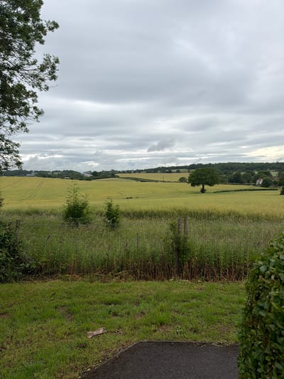 A wide shot captures a rural landscape under a cloudy sky, possibly in Hertsmere, United Kingdom. In the foreground, a patch of short green grass is visible, with a dark asphalt path bordering its right side. To the left and right edges of the frame, the foliage of trees and bushes obstruct the view. A weathered wooden fence post stands in the mid-ground, separating the grassy area from a field of tall, green weeds and grasses. Beyond this, a vast, yellow-green field stretches out, with visible tire tracks suggesting agricultural activity. A solitary, mature tree stands in the middle of this field. In the distance, a line of trees forms a natural horizon, with scattered houses and buildings peeking through. Further in the background, a distant line of vehicles can be seen on what appears to be a road, with more agricultural fields and scattered buildings stretching towards a hazy horizon. The overall impression is one of a tranquil, rural setting on an overcast day.