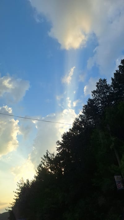 This is a vertically oriented, medium-angle, outdoor photograph taken during daylight. The scene captures a dense line of dark green trees silhouetted against a bright sky. The sky is a vibrant blue with scattered white and golden clouds. Rays of sunlight are visible, streaming through gaps in the clouds. A thin, black wire stretches horizontally across the upper middle portion of the image. The trees form a diagonal line from the bottom left to the top right of the frame, with the foliage obscuring most of the ground. On the far right edge of the image, a small portion of a sign with red and white lettering is visible within the trees. The photograph appears to be taken from a slight elevation, looking upwards towards the sky and the tree line.