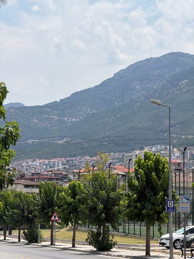 A street view in Denizli, Turkey, shows a wide street with a yellow dividing line and a concrete sidewalk. Trees line the sidewalk, casting shadows on the pavement. Beyond the trees, a chain-link fence encloses a grassy area and what appears to be a sports field. In the background, a city with red-tiled roofs and white buildings sprawls across a hillside, leading up to a large, tree-covered mountain under a cloudy sky. A street lamp stands tall on the sidewalk, and several traffic signs are visible, including a warning sign indicating a right turn ahead and a blue sign with a white "D" indicating a passenger drop-off zone. Two cars are parked on the street. The overall scene depicts a typical urban environment nestled against a natural mountainous backdrop.