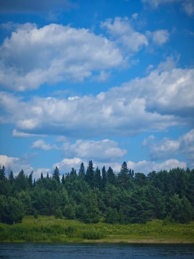 The image depicts a serene natural landscape under a partly cloudy blue sky. In the foreground, a dark, rippling body of water, likely a river, dominates the lower portion of the frame. Beyond the water, a lush green bank is visible, covered in dense vegetation, including tall grasses and scattered wildflowers. This embankment leads to a thick forest of coniferous trees, forming a dark green wall against the horizon. The trees are varied in height and density, with some taller pines interspersed with smaller evergreen species. The sky above is a vibrant blue, populated by large, fluffy white clouds that cast soft shadows, suggesting a sunny day. The scene appears to be a tranquil natural setting, devoid of any human presence or man-made structures. This scene could be located in the vicinity of Abalakovo, Russia, a region known for its natural beauty and extensive forests, possibly along the Irtysh River.