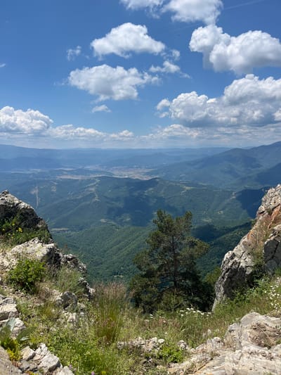 This image depicts a mountainous landscape with a view overlooking a valley and a city. In the foreground, large, rugged rocks form a natural frame for the scene, with sparse green vegetation and some wildflowers growing among them. A single pine tree stands on a rocky outcrop in the middle ground. The background reveals layers of receding mountains fading into a hazy blue distance. A city with buildings is visible in the valley below. The sky is bright blue with scattered white cumulus clouds, suggesting a clear, sunny day. The overall impression is of a scenic overlook with a vast expanse of nature and a human settlement.