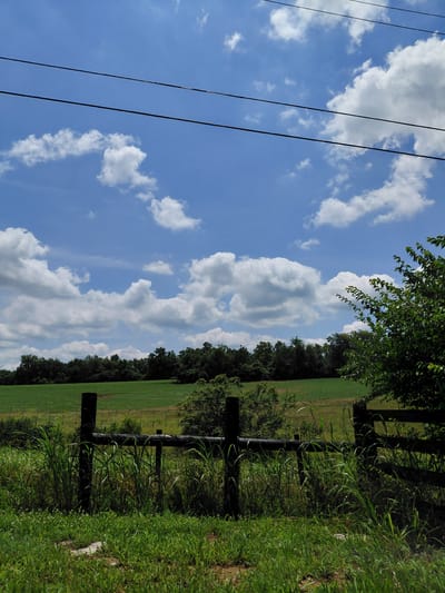 This is a vertically oriented, eye-level, medium shot of a rural landscape in Nicholasville, United States. The scene is dominated by a bright blue sky filled with puffy white clouds. Several black electrical wires stretch diagonally across the left side of the frame. To the right, a dark wooden fence runs horizontally, bordering a vibrant green field. The field is lined with a dense row of dark green trees. In the foreground, tall, lush green grass grows along the edge of the field and fence. The image appears to have been taken on a clear, sunny day. There is no text visible in the image.