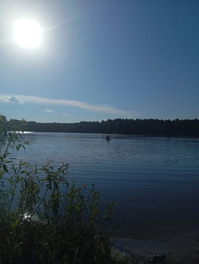 A vertical, medium-shot photograph captures a serene lake scene in Sud'bitsy, Russia, under a clear blue sky with the sun positioned in the upper left corner. The sun, a bright white sphere with visible rays, casts a strong glare across the water's surface. A dark, dense treeline forms the horizon, silhouetted against the sky. In the middle of the lake, a lone individual is visible, appearing to be seated on what might be a paddleboard or kayak, facing away from the camera. The water exhibits gentle ripples, reflecting the sunlight and the sky. In the foreground, on the left side of the frame, lush green foliage and thin branches extend into the shot, some of which catch the sunlight. The shore is visible at the bottom right, appearing as a sandy or muddy bank. The overall atmosphere is peaceful and natural.