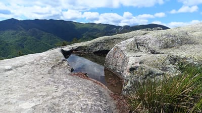 The scene is a high-angle, wide shot of a rock formation on Sini Vrah Mountain in Bulgaria. The rock surface is grey and lichen-covered. There is a pool of standing water in a natural depression in the rock, reflecting the cloudy sky. Some dead leaves are near the edge of the pool. Tufts of green grass grow near the rock's edge. In the background are heavily forested mountain ranges. The sky is blue with scattered white clouds.