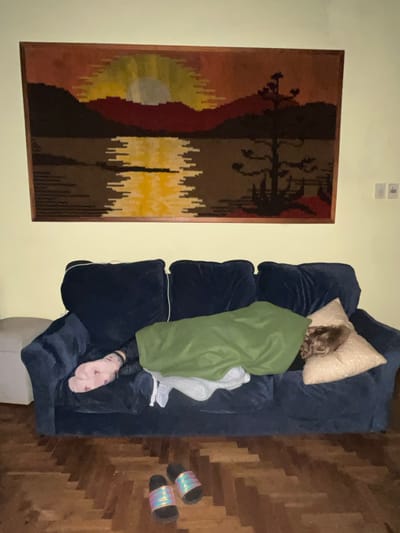 A person lies asleep on a blue sofa in a room with a wooden parquet floor. They are covered by a green blanket and have a beige pillow under their head. They are wearing pink socks with images of dinosaurs. A pair of holographic platform slides are on the floor near the sofa. On the adjacent wall hangs a framed tapestry depicting a stylized landscape. The location is Saladillo, Argentina.
