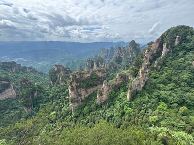 The image depicts the landscape of Zhangjiajie National Forest Park in Zhonghu, China. The view is oriented upside down, with the sky and clouds at the bottom. The lower half of the image shows a field of cumulus clouds. Above the clouds are distinctive sandstone pillars, heavily vegetated with green trees and plants. The forest covers the tops and sides of the pillars. The pillars extend upwards towards the center of the image. The upper part of the image shows an additional mountain range also covered in dense green vegetation.
