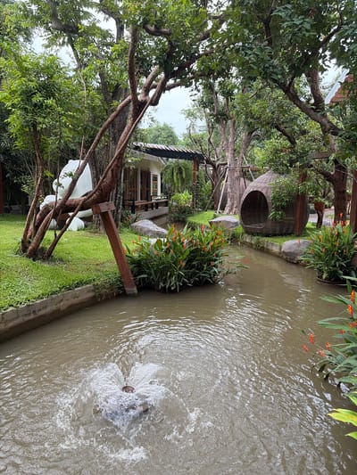 This is a photograph of an outdoor scene in Mae Rim, Thailand. In the foreground, a water channel with muddy brown water flows from left to right. A small fountain in the channel sprays water upwards from a stone. The channel is bordered by concrete walls on the left and lush green grass on the right, interspersed with rocks and plants.
To the left of the channel, a large white sculpture, possibly a stylized animal or figure, is partially obscured by tree trunks. The trees have brown, gnarled branches and are covered in green leaves. Beyond the trees, a small white building with wooden accents and a dark roof is visible, featuring windows and a patio area.
To the right of the channel, there are more trees, plants with orange flowers, and a woven, egg-shaped hanging chair. The environment appears to be a garden or a resort, with a serene and natural ambiance. The sky is overcast, suggesting a cloudy or rainy day.